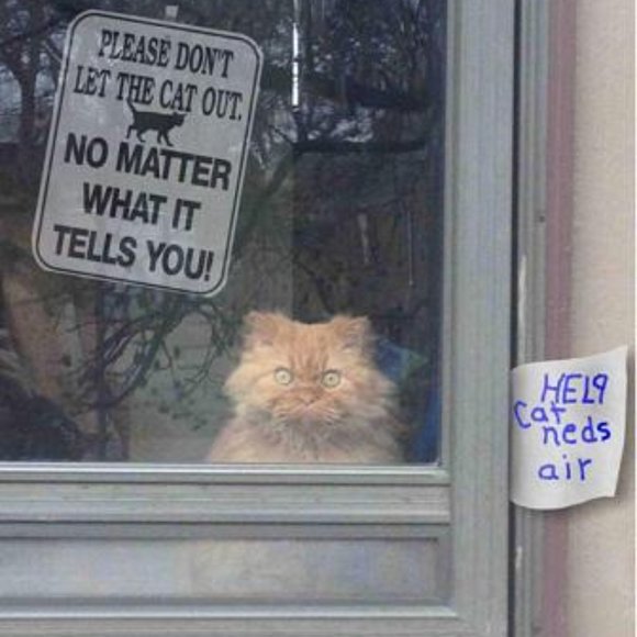 😁 Funnies to Bring a Laugh and Joy to your Day! 😁 - Picture 5 of 15